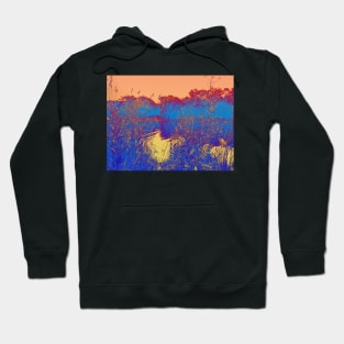 Summer pond Hoodie